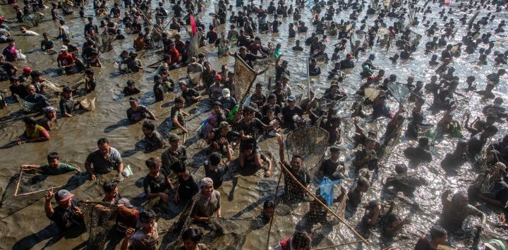 La gente usa redes para capturar unas dos toneladas de peces, liberados gratuitamente por trabajadores municipales durante el Memed Ikan, un festival anual tradicional de pesca que se celebra para agradecer a Dios la abundancia de peces, en el embalse de Gemblegan en Klaten, Java Central, Indonesia.