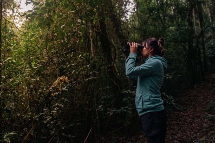 MISIONES. Llega en septiembre el primer encuentro internacional de observación de aves.