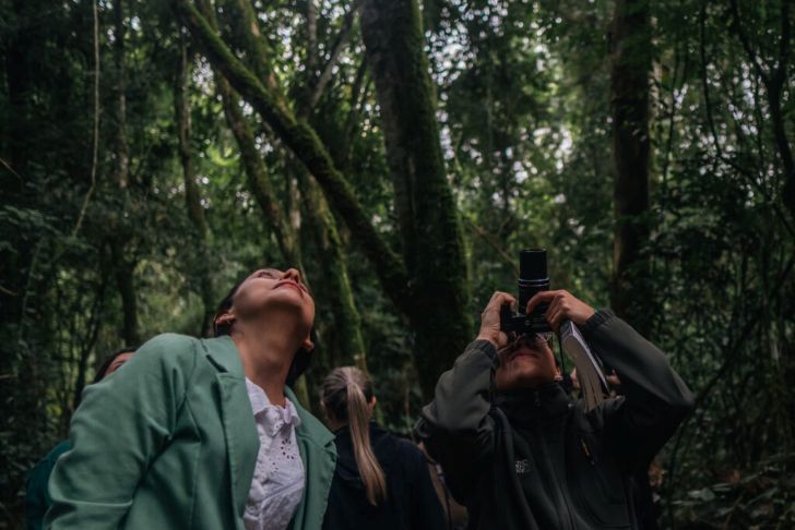 MISIONES. Llega en septiembre el primer encuentro internacional de observación de aves.