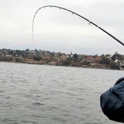 San Roque no es fácil, más bien, es un desafío por estos tiempos para esos aficionados ávidos de buenos piques. Una gran alternativa para tener en cuenta tanto a aficionados cordobeses como foráneos.  