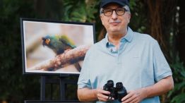 24-07-2025 Hugo Passalacqua Misiones Volar 25 aves