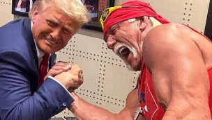 Hulk Hogan
