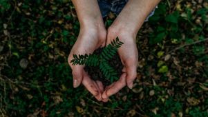 Medio ambiente