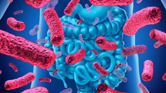 Sexto sentido: Descubren un sistema sensorial en el intestino que conecta al cerebro con las bacterias