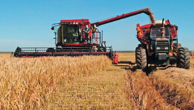 27_07_2025_campo_cedoc_g