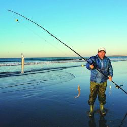 En agosto revista Weekend encontró matungos espectaculares y mucho más para compartir con los lectores.