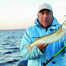 En agosto revista Weekend encontró matungos espectaculares y mucho más para compartir con los lectores.