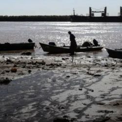 La exportación de sábalo, sin regulaciones adecuadas que consideren las condiciones ambientales, podría acelerar el agotamiento de las poblaciones. Por ello, se recomienda un “enfoque ecosistémico”, para adaptarse a las fluctuaciones que se dan en el río Paraná.