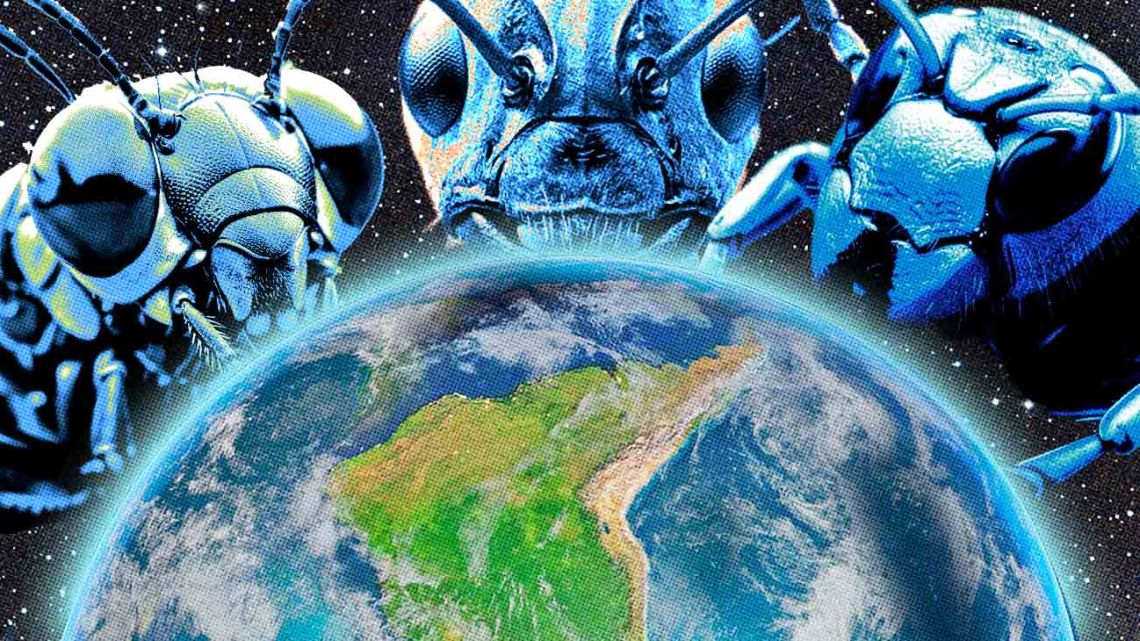 Weirdos wants to dominate the world