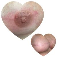 Celeste Saag PMU: Arte y sanación en Micropigmentación 