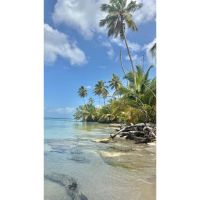 Turismo sin sargazo: los destinos ideales para disfrutar el Caribe en su mejor versión