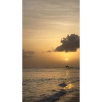 Turismo sin sargazo: los destinos ideales para disfrutar el Caribe en su mejor versión