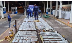 Encuentran 700 kilos de marihuana en un camión.
