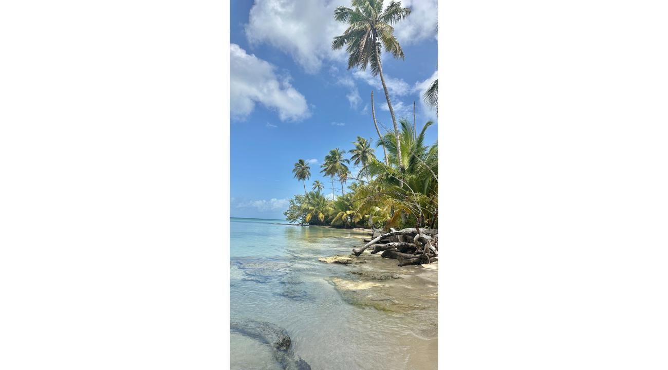 Turismo sin sargazo: los destinos ideales para disfrutar el Caribe en su mejor versión