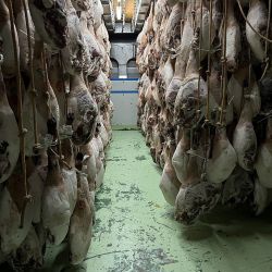 El jamón ibérico justifica su Denominación de Origen con un proceso artesanal y natural que se cumple en todas sus etapas.