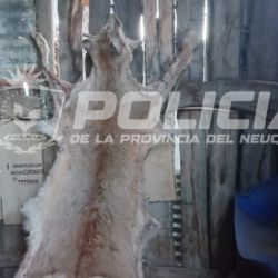 Parte del botín secuestrado.