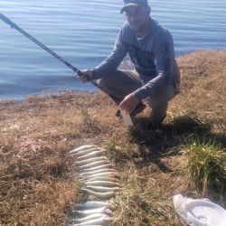 Los resultados se centran especialmente embarcados con aparejos livianos, especialmente de tres boyas yoyo chicas de unos 15 a 18 mm, brazoladas de 70 cm y como carnada, mojarra viva.