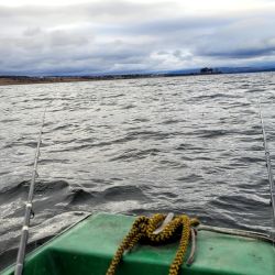 Constantes capturas sorprendieron al dúo de pescadores que no dejó de pescar en ningún momento hasta que decidieron dar por finalizada la jornada. 