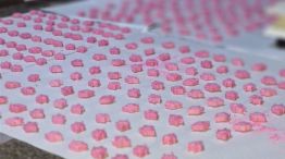 Allanamiento en Sarandí, Avellaneda