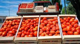 Tomate en Corrientes