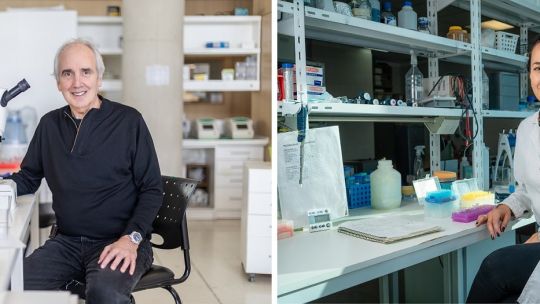La Fundación Bunge y Born reveló los ganadores 2025 de su premio en "Bioquímica" y "Biología Molecular"