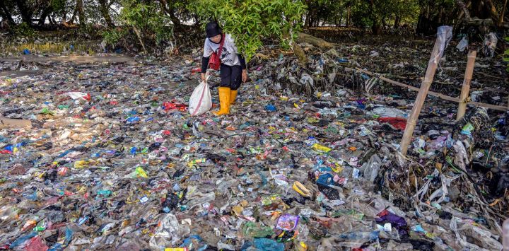 Un voluntario de Observación Ecológica y Conservación de Humedales (ECOTON) recoge residuos plásticos de un manglar en Surabaya, durante el Día Mundial de los Manglares. 