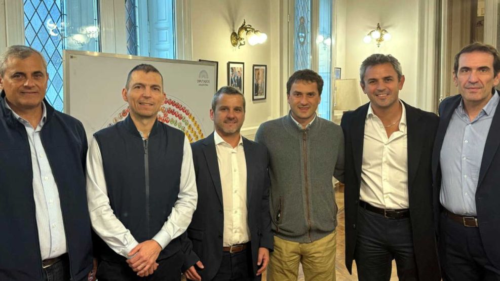 Radicales con peluca 20250729