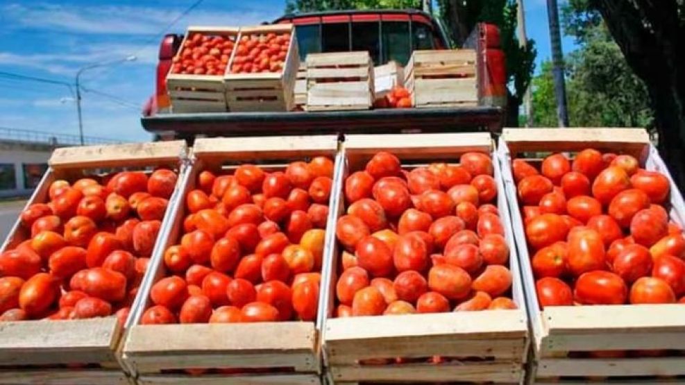 Tomate en Corrientes