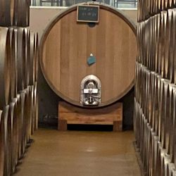 Visita a la Bodega Palacio Quemado que pertenece a la familia Alvear, emparentada con los Alvear de la Argentina.