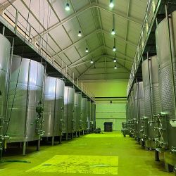 Visita a la Bodega Palacio Quemado que pertenece a la familia Alvear, emparentada con los Alvear de la Argentina.