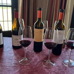 Visita a la Bodega Palacio Quemado que pertenece a la familia Alvear, emparentada con los Alvear de la Argentina.