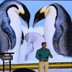 No es la primera vez que gana un premio internacional en defensa de los pingüinos.