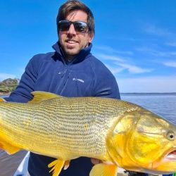 Surubíes, dorados y hasta pejerreyes son opción en un quinteto de destinos que pasan por un buen momento. 