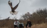 Así regresaron al monte cordobés a varios ejemplares de fauna silvestre rehabilitados