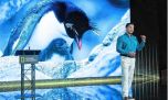 Un biólogo argentino fue distinguido por National Geographic por su labor en la protección de los pingüinos