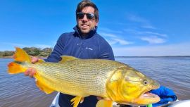 Surubíes, dorados y hasta pejerreyes son opción en un quinteto de destinos que pasan por un buen momento.