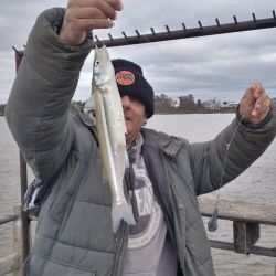 La pesca fue interesante, con mejores resultados fondeados, pero en lugares puntuales, también se pudo practicar la actividad en superficie. 