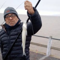 La pesca fue interesante, con mejores resultados fondeados, pero en lugares puntuales, también se pudo practicar la actividad en superficie. 
