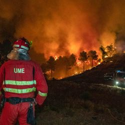 Esta foto, publicada por la Unidad Militar de Emergencias (UME), muestra a bomberos combatiendo un incendio forestal cerca de Caminomorisco, en la provincia de Cáceres, al oeste de España. | Foto:Handout / UME / AFP