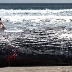 Personas observan un cachalote muerto en la playa de Heisaura, en la ciudad de Tateyama, prefectura de Chiba, Japón. | Foto:Philip Fong / AFP