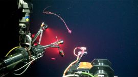 El CONICET lanzó “Vida en los extremos”, una nueva expedición científica con transmisión en vivo