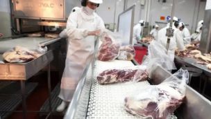 Exportación carne