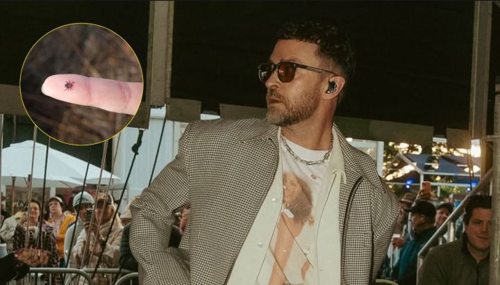 Qué es la enfermedad de Lyme que sufre Justin Timberlake, y cuáles son sus síntomas