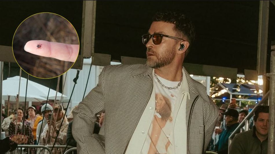 Jusin Timberlake tiene la enfermedad de Lyme