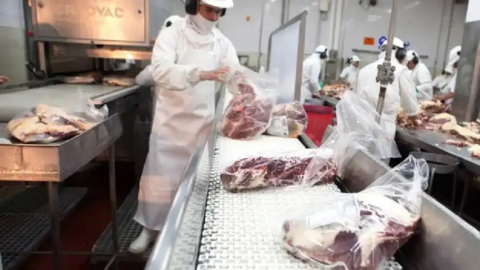 Exportación carne