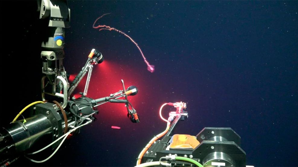 Tecnologia Falkor CONICET 310072025