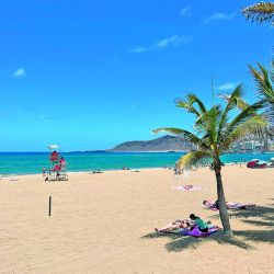 Gran Canaria fusiona aventura y patrimonio. Allí dominan las olas con windsurf en su costa este. Y en Vegueta la majestuosa Catedral de Santa Ana guarda siglos de historia. 