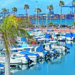 Gran Canaria fusiona aventura y patrimonio. Allí dominan las olas con windsurf en su costa este. Y en Vegueta la majestuosa Catedral de Santa Ana guarda siglos de historia. 