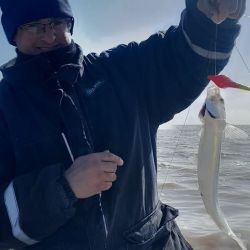 En el último fin de semana de las vacaciones de invierno, buen pique algunos puntos del país.