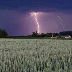 Los rayos aumentarán su frecuencia y poder destructivo por el cambio climático.